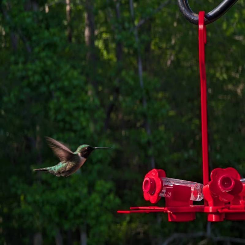 Sugar Station Mini Hummingbird Feeder