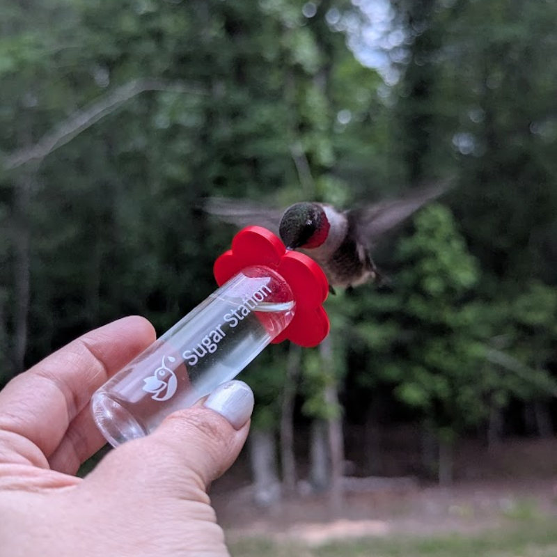 Sugar Station Mini Hummingbird Feeder