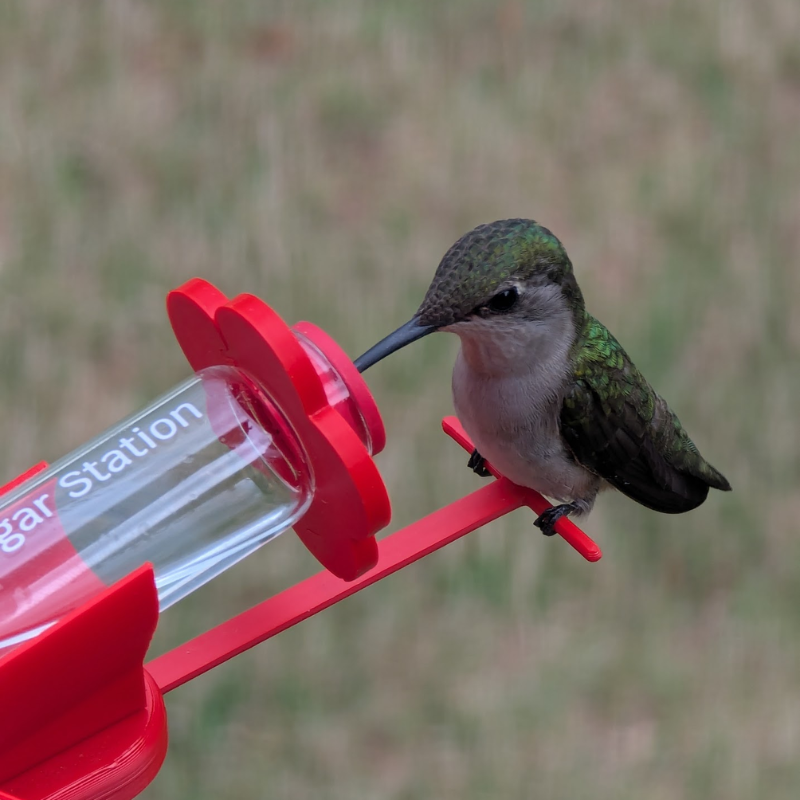 Sugar Station Mini Hummingbird Feeder