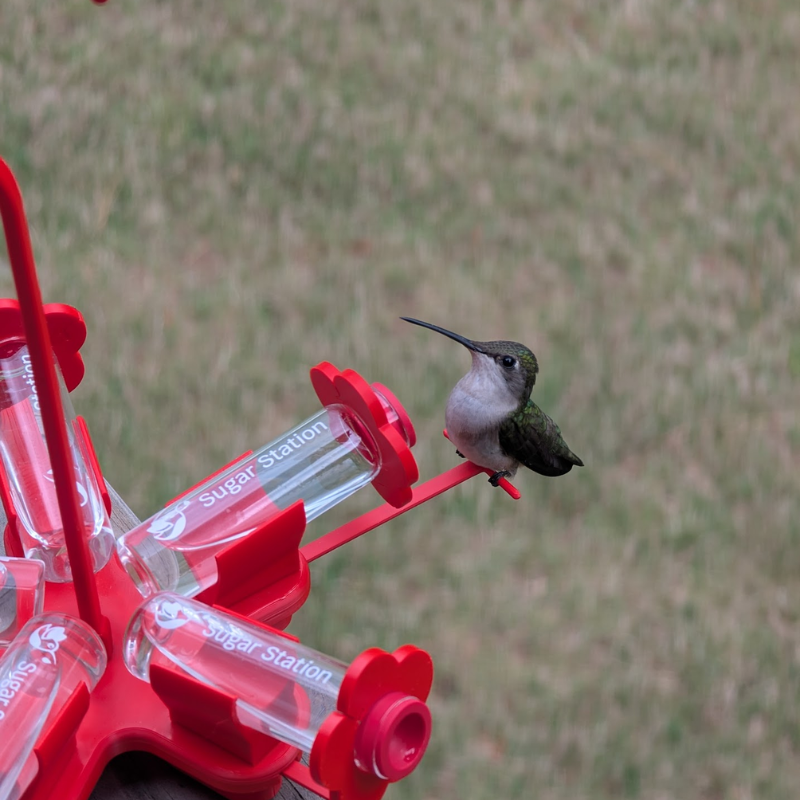 Sugar Station Mini Hummingbird Feeder