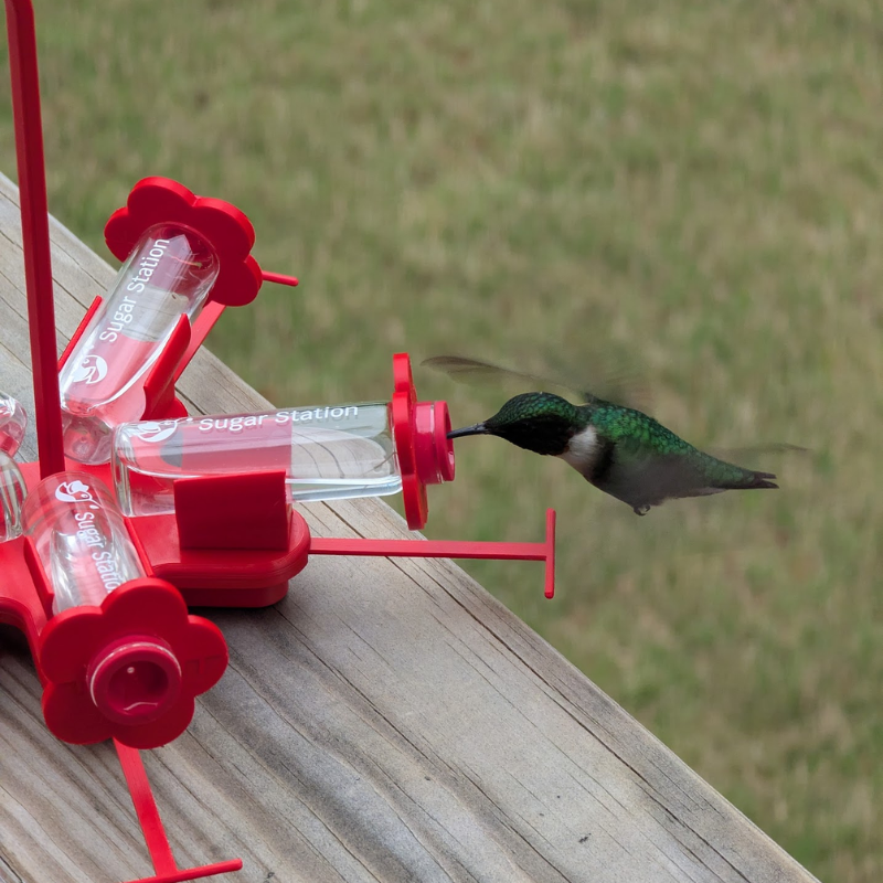 Sugar Station Mini Hummingbird Feeder